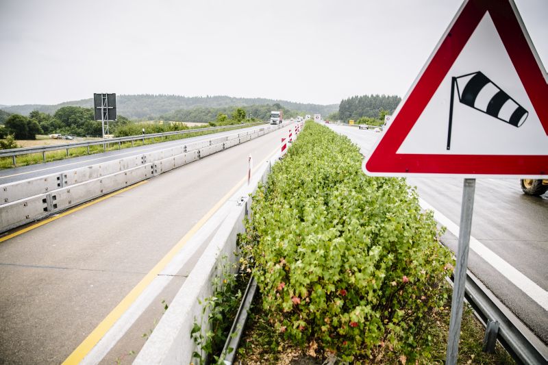 BAB A81, Notinstandsetzung der Schüpfbachtalbrücke